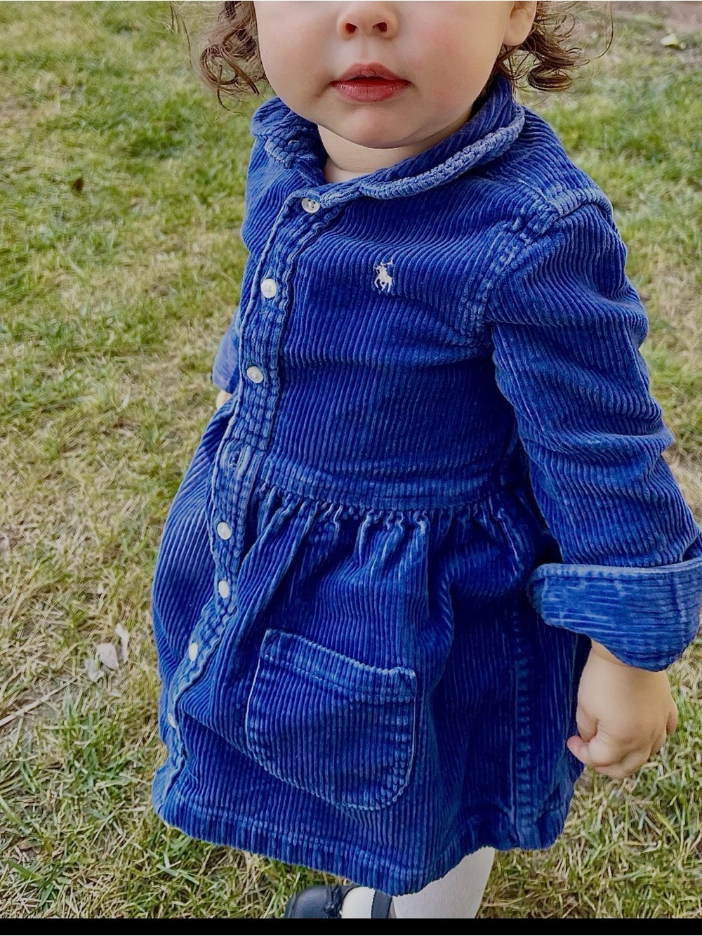 Polo by Ralph Lauren Blue Corduroy Button-Down Kids Dress